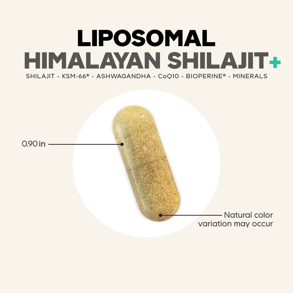 glutathione himalaya Eternal, Liposomal Himalayan Shilajit+, 60 Vegetable Capsules suncream Glutathione-mediated detoxification of heavy Quantity:6-Pack