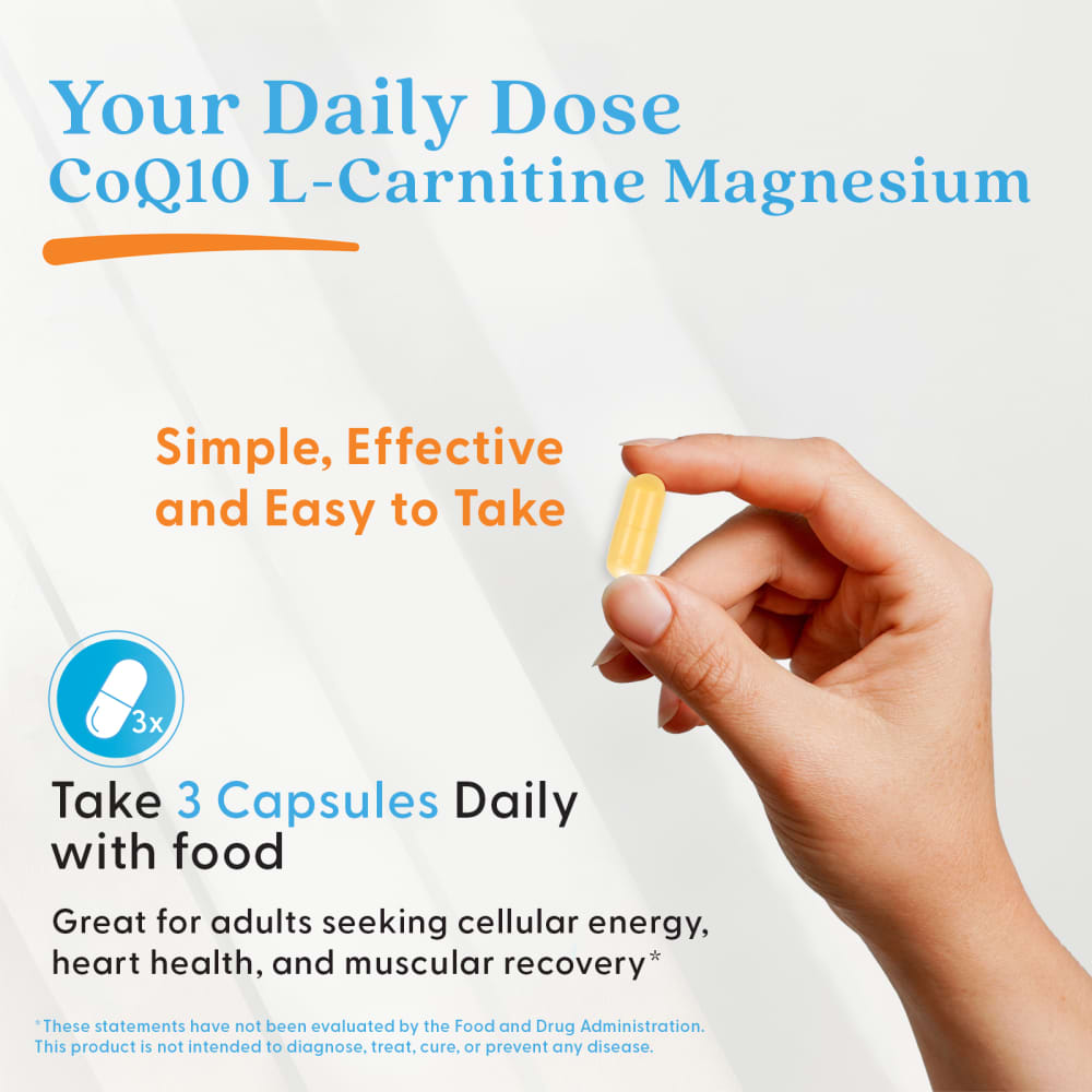 l carnitine and coq10 benefits L-Carnitine Magnesium, 90 Veggie Caps JCI - Glutathione deficiency ايسنس للبشرة الجافة Quantity:3 L