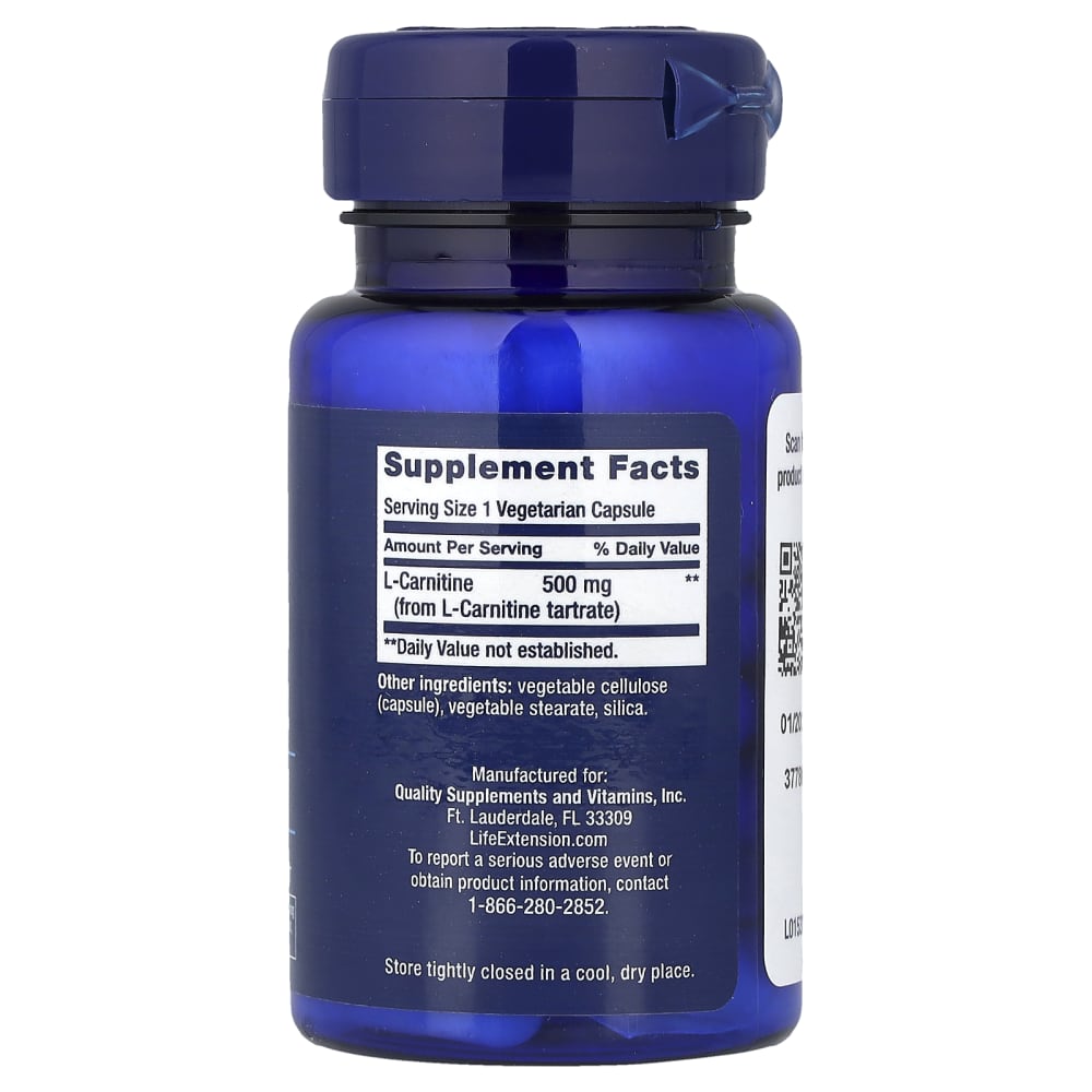 daily dosage of l carnitine L-Carnitine, 500 mg, 30 Vegetarian Capsules Disease or non-disease - Dilution Water Größe:60 Kapseln