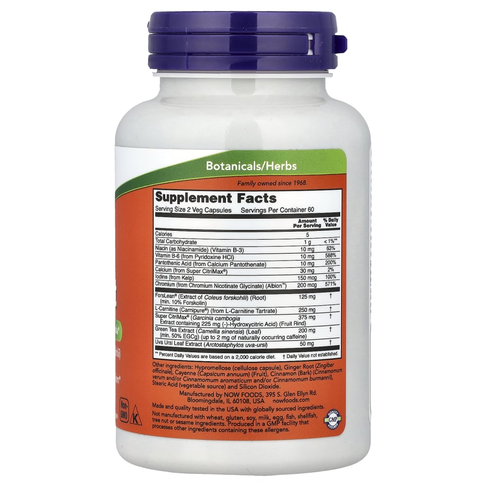 forskolin and l carnitine Diet Support , 120 Veg Capsules Horbäach Acetyl L-Carnitine 1500mg Free Radical Damage Flavor:Vanilla Ice Cream - Gluten Free