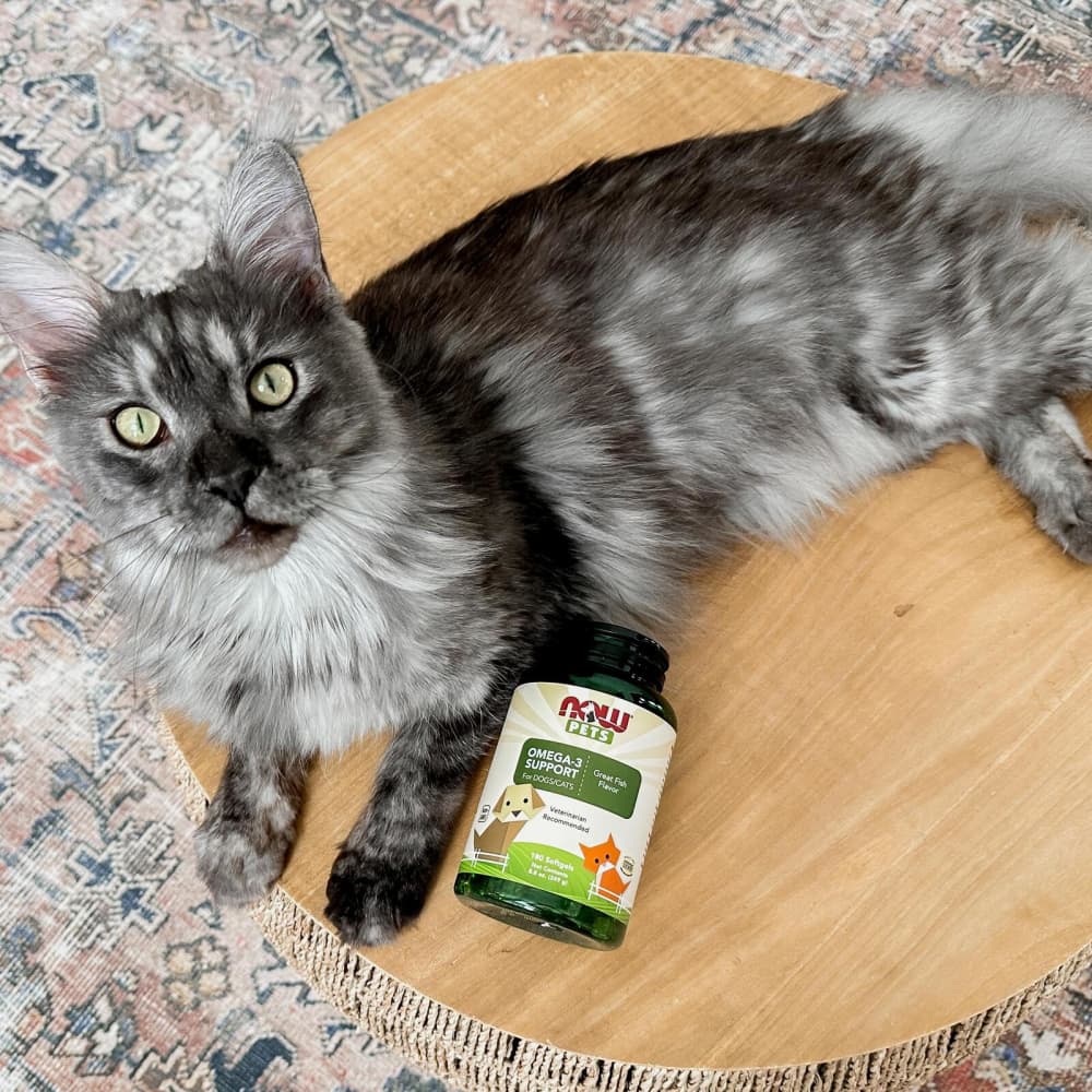 omega neo for cats with protein and l-carnitine 90 tab Pets, Omega-3 Support Dogs/Cats, Great Fish, 180 Softgels, 8.7 oz (247 g) Color:Exclusive Gold Semaglutide, Tirzepatide, CagriSema, Oh Ingredients_Panthenol