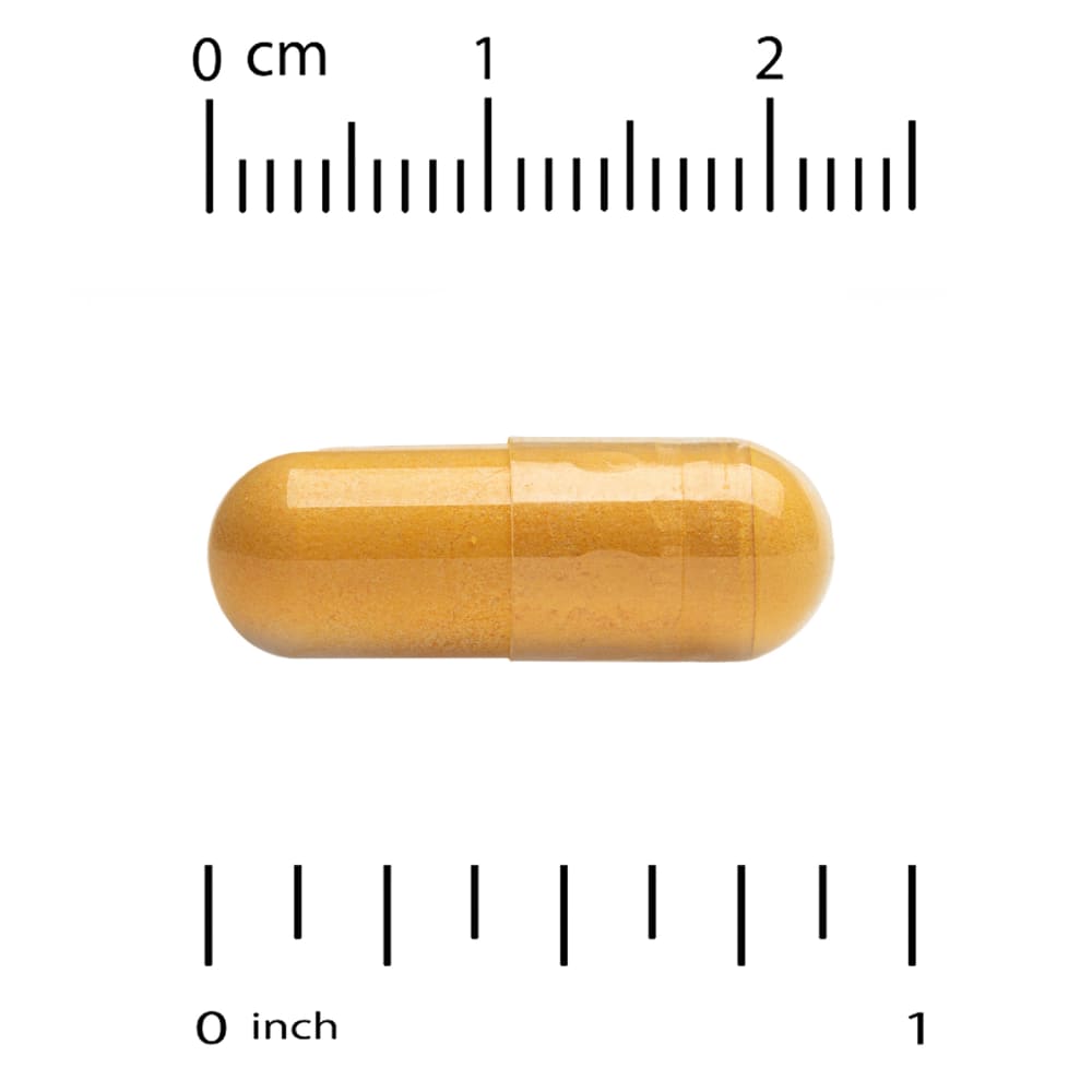 acetyl l-carnitine alpha lipoic acid & coq10 Advanced, L-Carnitine, and CoQ10, 120 Capsules SirenLabs® L-Carnitine Elite Burn™ Please Select: Box Only/ Push Set:1800mg (Push Set w/ Vit C) Boosters d'Énergie