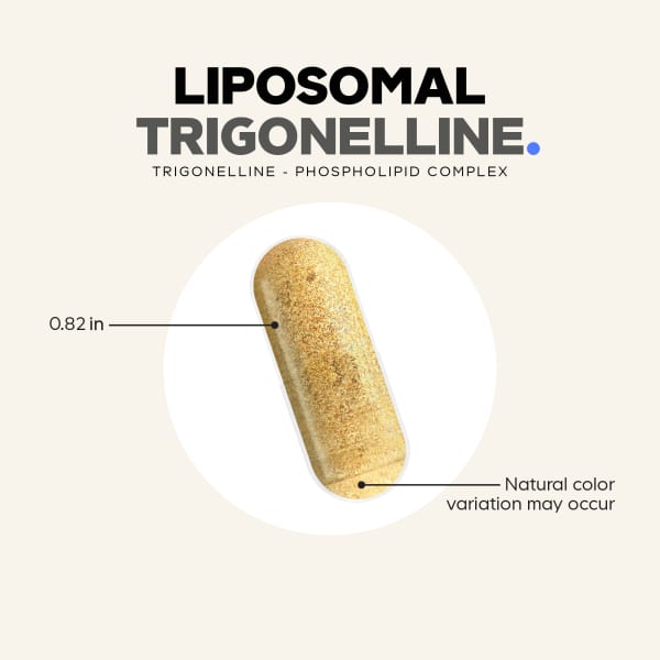 Trigonelina Lipossomal, 90 Cápsulas Vegetais