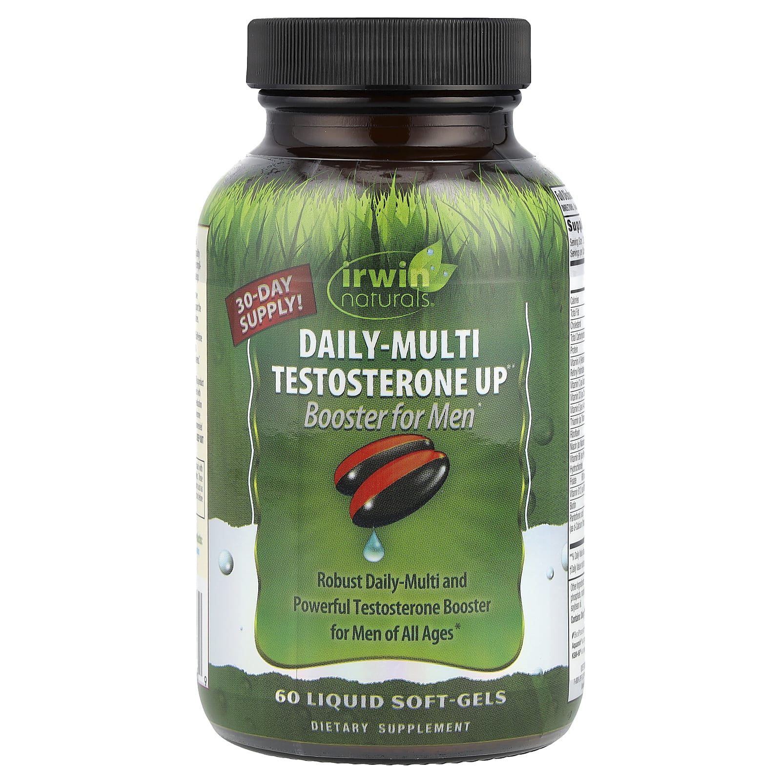 Irwin Naturals, Daily-Multi Testosterone Up Booster для мужчин, 60 желатиновых капсул