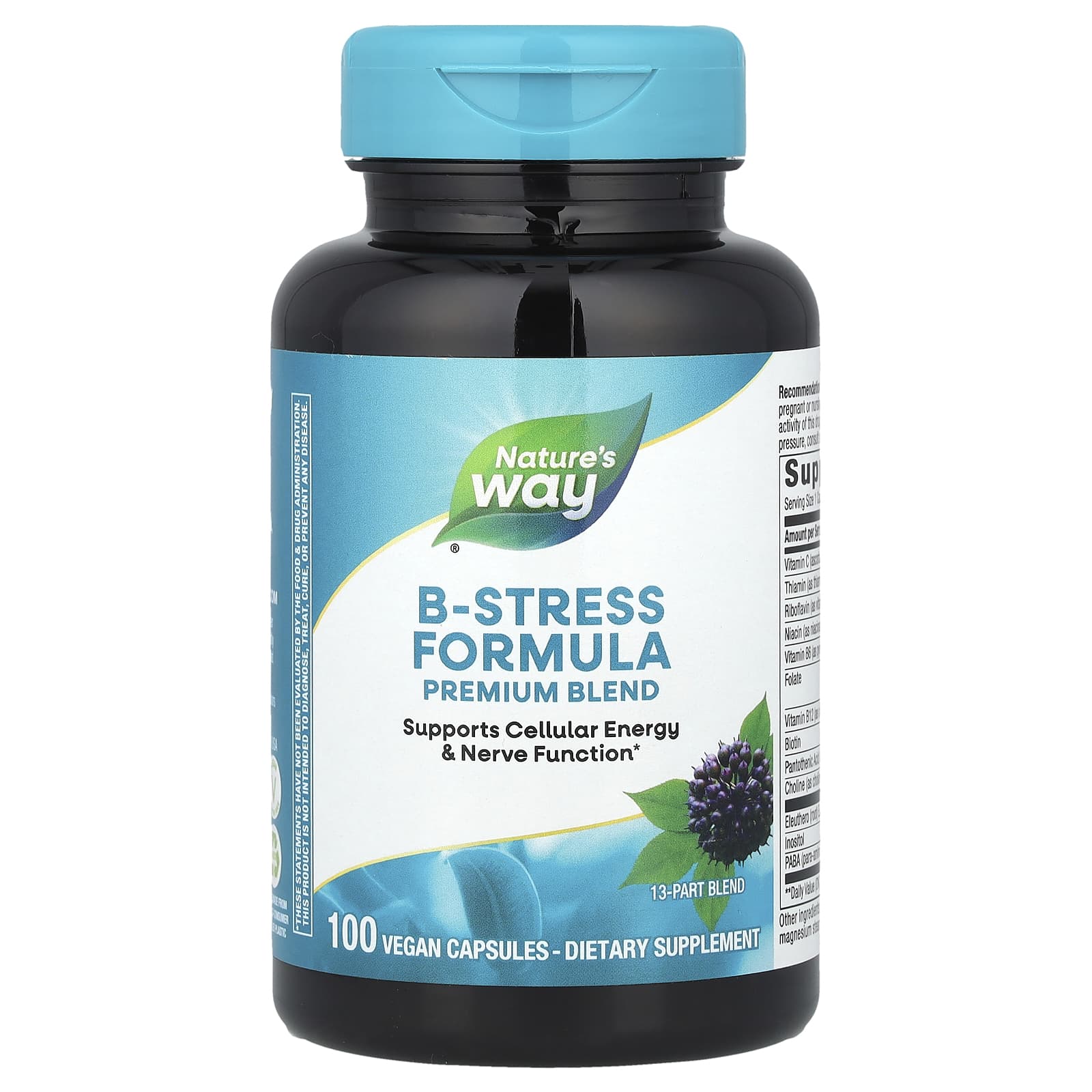 Nature's Way, B-Stress Formula, 100 веганских капсул