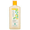 Shampoo, Brilliant Shine, For Strength and Vitality, Sunflower & Citrus, 11.5  fl oz (340 ml)