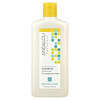 Andalou Naturals, 샴푸, 눈부신 광채, 힘과 활력, 해바라기 & 시트러스, 340ml(11.5fl oz)