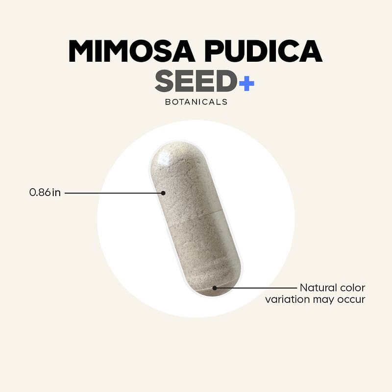 Mimosa Pudica, Semente+, 120 Cápsulas