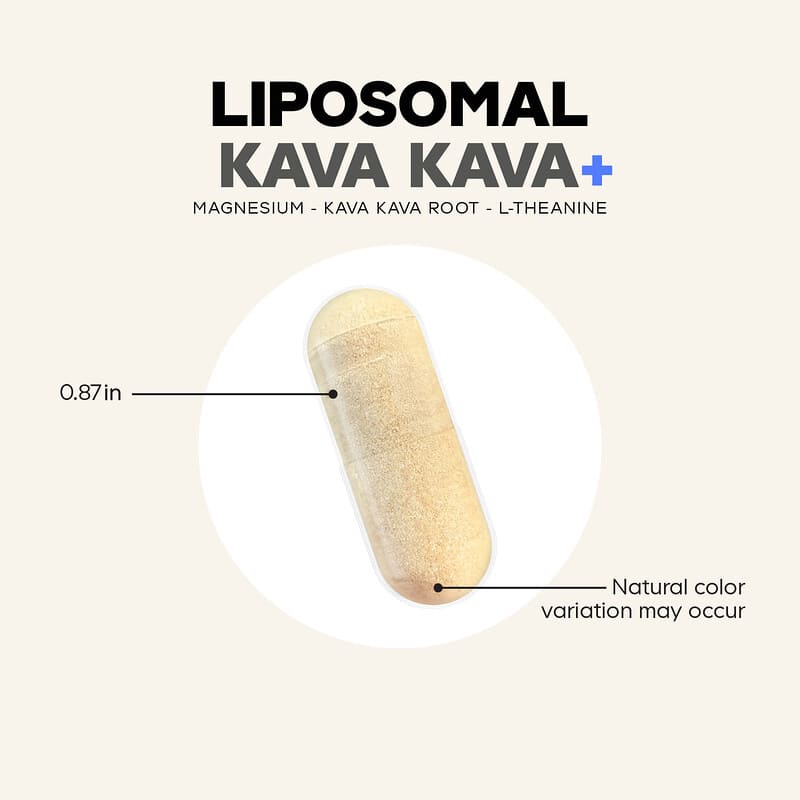 l carnitine kava HUG YOUR LIFE ZELENA & L-CARNITINE KAPSULE A60 Labrada L Carnitine  KABS