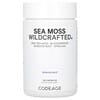 Sea Moss, Wildcrafted, 120 Capsules