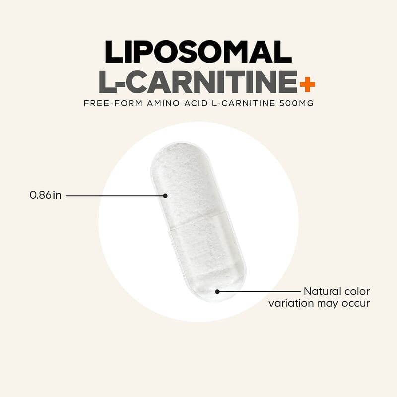 l carnitine breastfeeding safe L-Carnitine Coupons 2026: Up to 80% Discount main image 0