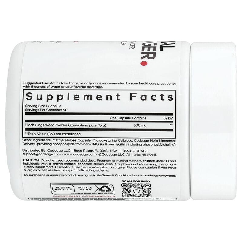リポソームブラックジンジャー、ベジカプセル90粒（1粒あたり500mg）