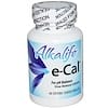 E-Cal, 60 Enteric Coated Tablets
