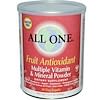Fruit Antioxidant, Multiple Vitamin & Mineral Powder, 15.9 oz (450 g)
