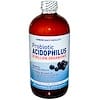 Probiotic Acidophilus, Sabor Natural de Mirtilo, 16 fl oz (472 ml)