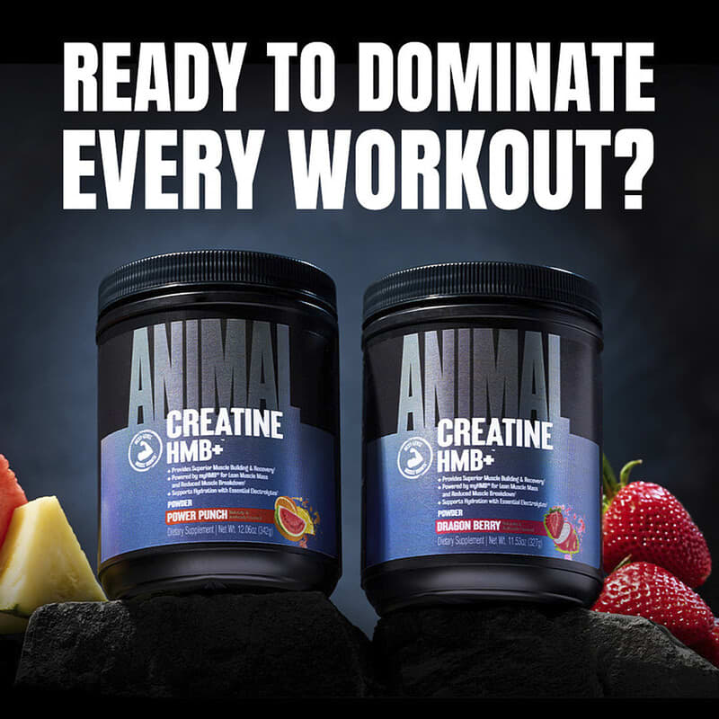 Creatine HMB+™ Powder, Dragon Berry, 11.53 oz (327 g)