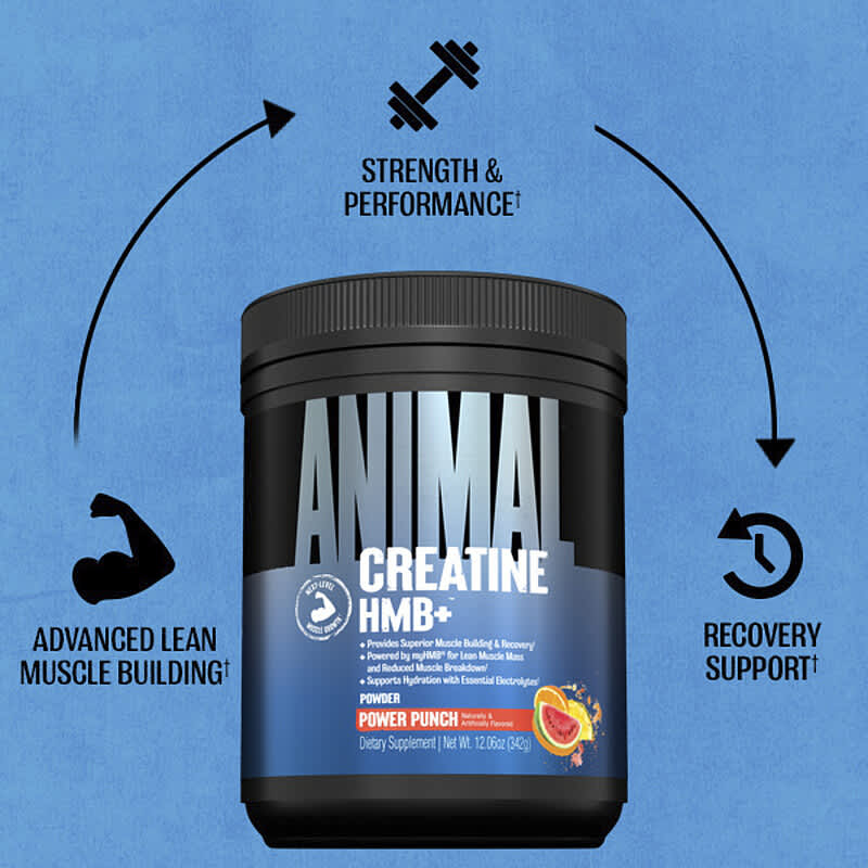 Creatine HMB+™ Powder, Power Punch, 12.06 oz (342 g)
