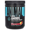 Juiced Aminos® in polvere, punch alla frutta, 375 g
