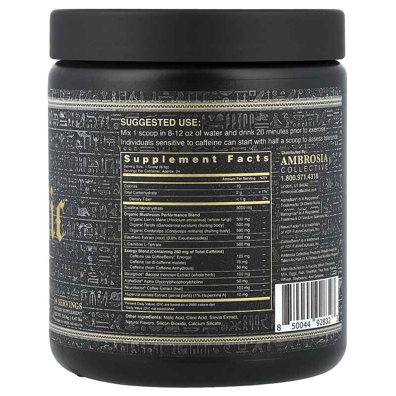 gorilla mode ar l-carnitine l-tartrate 750 mg label Carnitine 750mg Capsules – Androgen Receptor Upregulator/Boosts Cellular Energy, Upregulates Androgen Receptor Density/Shuttles Fatty Acids (120 Capsules): Buy Online at Best Price in UAE Gorilla Mode AR - For