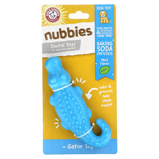 Arm & Hammer, Nubbies, Dentalspielzeug für mäßige Kaugummis, Alligator, Minze, 1 Spielzeug