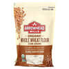 Organic Whole Wheat Flour, Stone Ground, 22 oz (623 g)