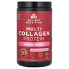 Multi Collagen Protein, Beauty Within, Guava Passionfruit , 9.74 oz (276 g)
