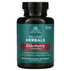 Ancient Herbals, Elderberry + Probiotics, 60 Capsules
