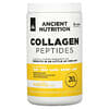 Dr. Axe / Ancient Nutrition, Collagen Peptides، فانيليا، 8.51 أونصة (241.2 جم)
