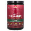 Multi Collagen Advanced, улучшенный коллаген, корица, 450 г (15,9 унции)