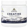 Ancient Nutrition, 크레아틴 + 콜라겐, 무맛, 165g(5.8oz)