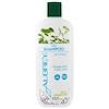 Shampoo, Color Care, All/Sensitive, Chia, 11 fl oz (325 ml)