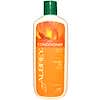 J.A.Y. Conditioner, Dry Hair, Citrus Clove, 11 fl oz (325 ml)