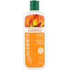 Honeysuckle Rose®（ハニーサックル･ローズ）シャンプー、潤い集中、ドライヘア用、11液量オンス(325 ml)