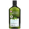 Shampoo, Scalp Treatment, Tea Tree, 11 fl oz (325 ml)