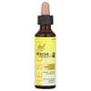 Bach, Rescue Remedy® Pet, natürlicher Stressabbau für Haustiere, 20 ml (0,7 fl. oz.)