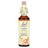 Original Flower Remedies, Cherry Plum, 20 ml