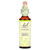 Bach, Original Flower Remedies, Mustard, 0.7 fl oz (20 ml)