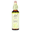 Original Flower Remedies, Olive, 0.7 fl oz (20 ml)