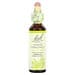 Bach, Original Flower Remedies, White Chestnut, 0.7 Fl Oz (20 Ml)