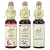 Bach, 오리지널 꽃 요법 키트, 겟 잇 완, 스포이트 3개, 각 10ml(0.35fl oz)