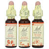 Bach, 오리지널 꽃 요법, 브레이베리 키트, 피어 노 모어, 스포이트 3개, 각 10ml(0.35fl oz)