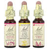 Bach, 오리지널 꽃 요법, 컴포트 키트, Hope & Joy, 스포이트 3개, 각 10ml(0.35fl oz)