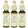 Bach, 오리지널 꽃 요법, 포커스 키트, Clarity of Mind, 스포이트 3개, 각 10ml(0.35fl oz)