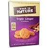 Triple Ginger Cookies, 9 oz (255 g)