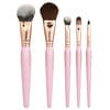 Face & Eyes Brush Set, 5 Brushes