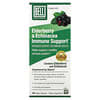 Sambuco ed echinacea, supporto immunitario, 60 capsule vegetali