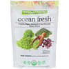 Ocean Fresh, Organic Algae, Seaweed & Sea Minerals Master Blend, Natural Flavor, 6.35 oz (180 g)