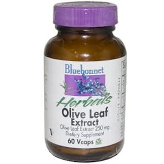 Bluebonnet Nutrition, Herbals, Olive Leaf Extract, 250 mg, 60 Vcaps