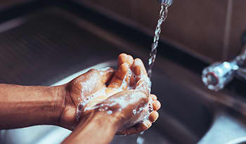 Closeup of washing hands with soap in sink