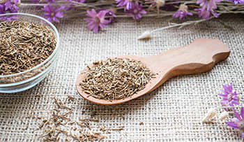 6 beneficios de la raíz de valeriana: descubra el poder de esta hierba natural para el estado de ánimo, el sueño y más.